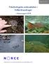 Fiskebiologiske undersøkelser i Eidfjordvassdraget