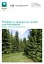 Planting av skog på nye arealer som klimatiltak