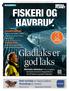 Gladlaks er god laks. fiskeri og havbruk. Motvirke lakselus: Ved å rengjøre merdene kommer leppefiskene inn til laksen og spiser lakselus.