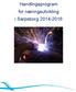 Handlingsprogram for næringsutvikling i Sarpsborg 2014-2016