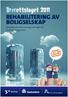 Brrrettslaget 2011. Rehabilitering av. boligselskap? Oversikt over finaniseringsordninger fra. Husbanken og Enova. Drrrømmer du om et varmt