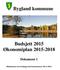 Bygland kommune. Budsjett 2015 Økonomiplan 2015-2018. Dokument 1