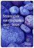 Strategisk næringsplan 2013-2025