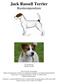 Jack Russell Terrier Rasekompendium