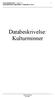 SOSI standard Del 2 - versjon 3.2 1 Databeskrivelse: Kulturminner - Historikk og status. Databeskrivelse: Kulturminner