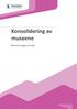 Buskerud fylkeskommune Utviklingsavdelingen mai 2013. Beslutningsgrunnlag