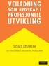 Veiledning som redskap i profesjonell utvikling