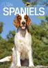 Medlemsblad for Norsk Spaniel Klub SPANIELS. Nr 2 2013