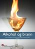 Alkohol og brann Rapport fra kartlegging av sammenhenger mellom alkoholbruk og dødsbranner i boliger Februar 2013
