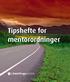 Tipshefte for mentorordninger