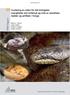 Vurdering av risiko for det biologiske mangfoldet ved innførsel og hold av eksotiske reptiler og amfibier i Norge