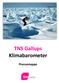 TNS Gallups Klimabarometer