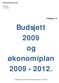 Budsjett 2009 og økonomiplan 2009-2012.