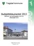 Budsjettdokumentet 2013 Økonomi- og handlingsplan 2013-16 Årsbudsjett 2013