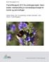 Framdriftsrapport 2012 fra utviklingsprosjekt: Naturindeks; videreutvikling av kunnskapsgrunnlaget for humler og sommerfugler