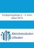 Fordypningslinjer 2. - 3. trinn våren 2013. Aktivitetsskolen Lilleaker