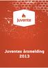 Juventes årsmelding 2013