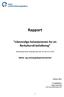 Rapport. Likeverdige helsetjenester for en flerkulturell befolkning. (Pilotsykehusprosjekt, bevilgning under kap. 732, post 70 for 2009)