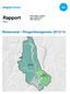 Rapport. Reisevaner i Ringeriksregionen 2013/14. Miriam Søgnen Haugsbø Ingunn Opheim Ellis Mats Johansson 59/2015