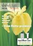 shine club magazine Vinn flotte premier! Del dine produkterfaringer med oss Supertilbud i mai: Multi Care Sun Lotion Vital Cleansing Masque APRIL 2006