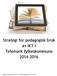 Strategi for pedagogisk bruk av IKT i Telemark fylkeskommune 2014-2016