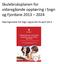 Skulebruksplanen for vidaregåande opplæring i Sogn og Fjordane 2013 2024