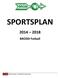 SPORTSPLAN. BRODD Fotball. 1 BRODD Fotball SPORTSPLAN 2014-2018