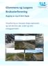 Glommens og Laagens Brukseierforening Bygging av veg til dam Elgsjø