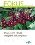 FOKUS. Plantevern i frukt Integrert bekjempelse. Gunnhild Jaastad, Jorunn Børve. www.bioforsk.no. Bioforsk I Vol. 4 I Nr. 3 I 2009