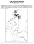 Guide for Petrologi-ekskursjon til Åfjord/Stokksund-området Tore Prestvik 1996