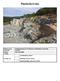 Planbeskrivelse Planens navn Detaljregulering for Peskanasen steinbrudd og massetak Arkivsak 11/2599 Planid 2012-20110008 Vedtatt