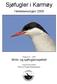 Sjøfugler i Karmøy. Hekkesesongen 2008. Rapport 4-2008 Mink- og sjøfuglprosjektet. Arnt Kvinnesland Karmøy Ringmerkingsgruppe