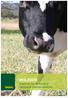 VEILEDER Sjekkliste for dyrevelferd i økologisk melkeproduksjon