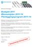 Budsjett 2011 Økonomiplan 2011-14 Planleggingsprogram 2011-14