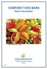 OVERVEKT HOS BARN. Råd til hele familien. FORSIDE (lages ordentlig på trykkeriet) Overskrift: Overvekt hos barn. Råd til hele familien