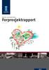 Fjell 2020 mot en bedre framtid. Forprosjektrapport. datert 19.11.2010. byplan