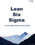 Lean Six Sigma. Lean Six Sigma tilpasset norske forhold. Fonn Software AS