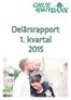 Delårsrapport 1. kvartal 2015