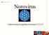 Norovirus. Undervisning Songdalen kommune 3/12-13