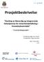 Prosjektbeskrivelse Styrking av likeverdig og integrerende helsetjeneste for minoritetsbefolkning i Hovedstadsområdet ~ Et samhandlingsprosjekt ~