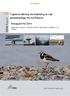 Fugleovervåkning ved etablering av nytt geodesianlegg ved Ny-Ålesund