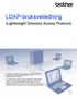 LDAP-bruksveiledning