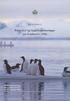 Pattedyr- og fugleregistreringer på Svalbard i 1996