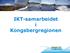 IKT-samarbeidet i Kongsbergregionen