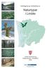 Kartlegging og verdisetting av. Naturtypar i Lindås. Lindås kommune og Fylkesmannen i Hordaland 2004