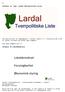 Etter nå å ha lært om utredningen, er det tydelig at Lardal er foran Larvik med det å yte bedre tjenester til innbyggerne sine.