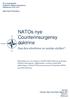 NATOs nye Counterinsurgensy doktrine