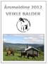 Generalforsamling Veikle Balder Lørdag 23.februar 2013 kl. 18.00. Sted: Hestesportens Hus, Bjerke Travbane Oslo.