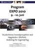 Program EXPO 2010. 9. - 10. juni. Studentenes hovedprosjekter ved Høgskolen i Østfold Avdeling for ingeniørfag