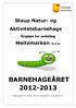 BARNEHAGEÅRET 2012-2013